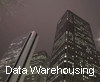 Large-scale Data Warehousing